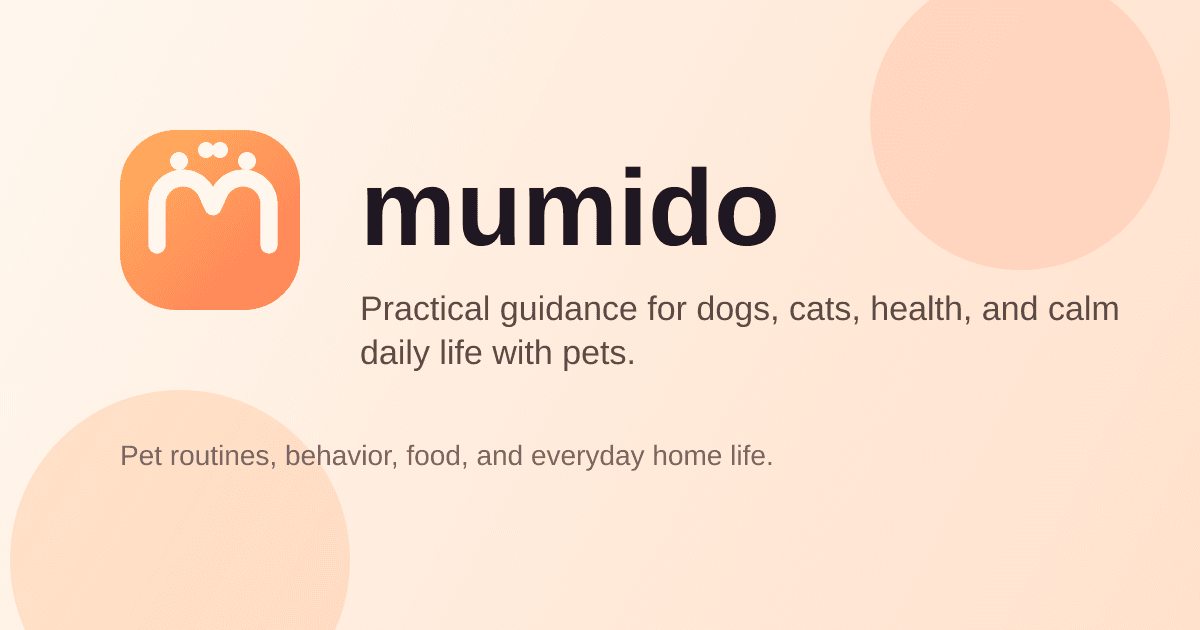 First week with a dog